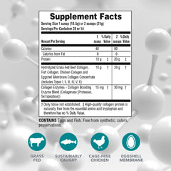 Close-up of collagen peptides powder in scoop