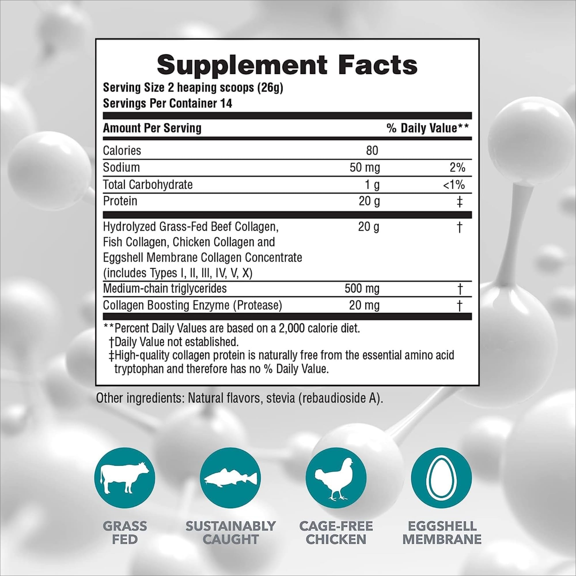 Back view of Nature's Plus Collagen Peptides Vanilla 2-pack