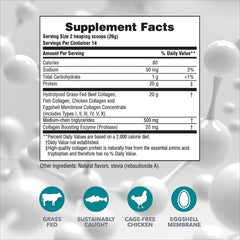 Back view of Nature's Plus Collagen Peptides Vanilla 2-pack