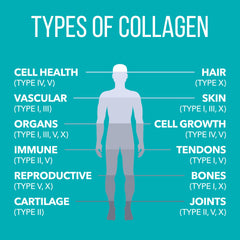 Hydrolyzed collagen powder dissolving in a beverage