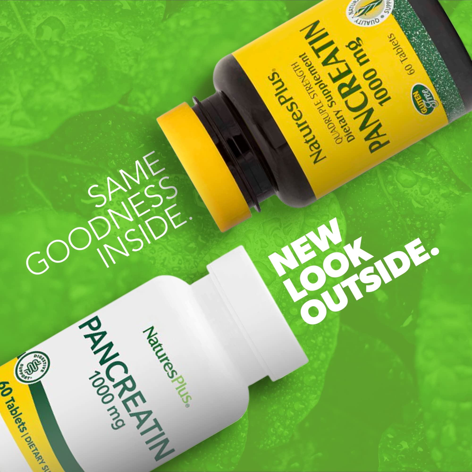 Back label with supplement facts on Pancreatin 1000 mg bottle