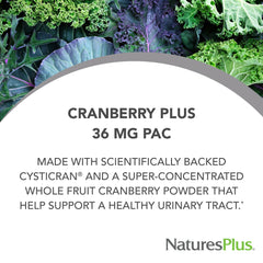 Cranberry Plus capsules close-up