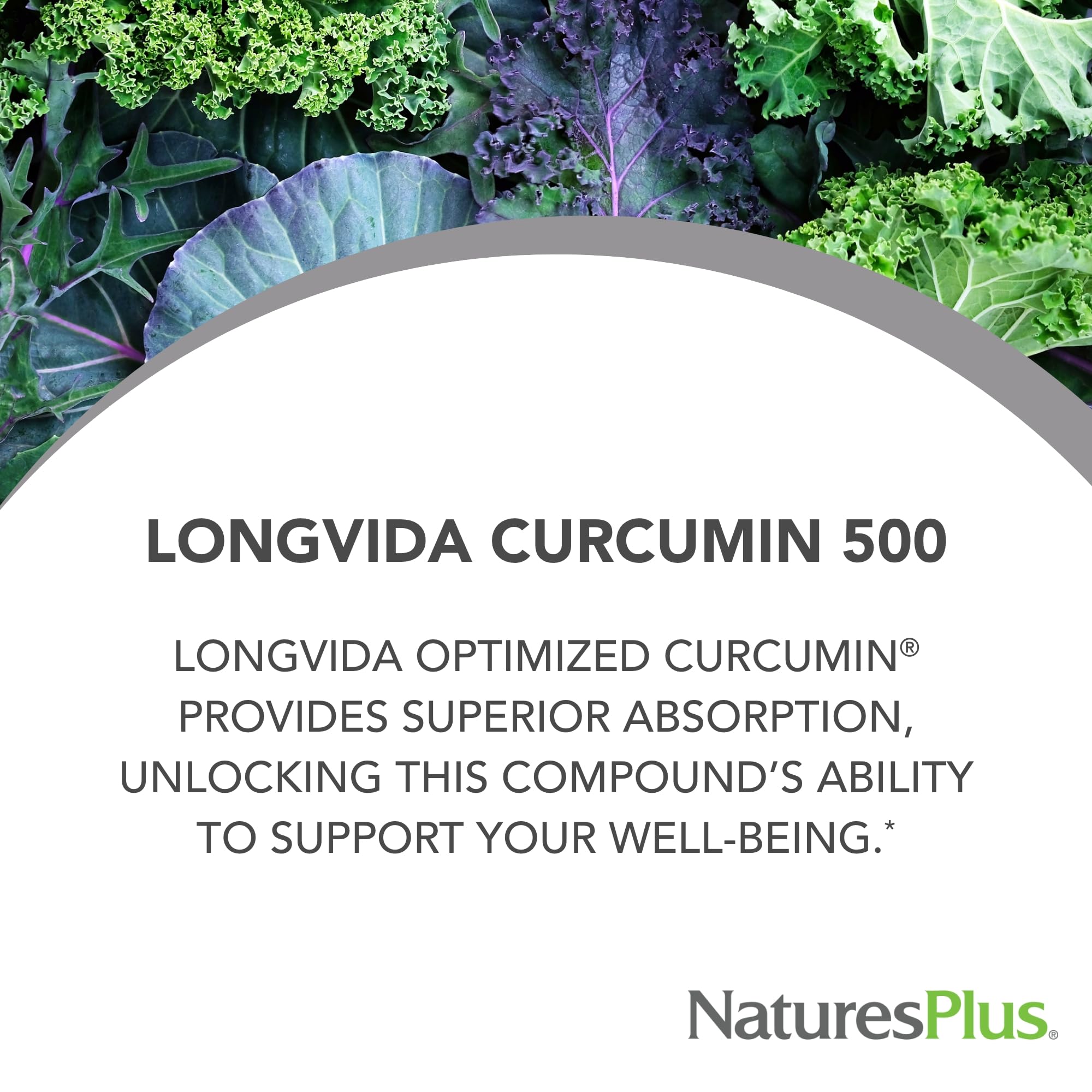 Longvida Curcumin 500 mg label close-up