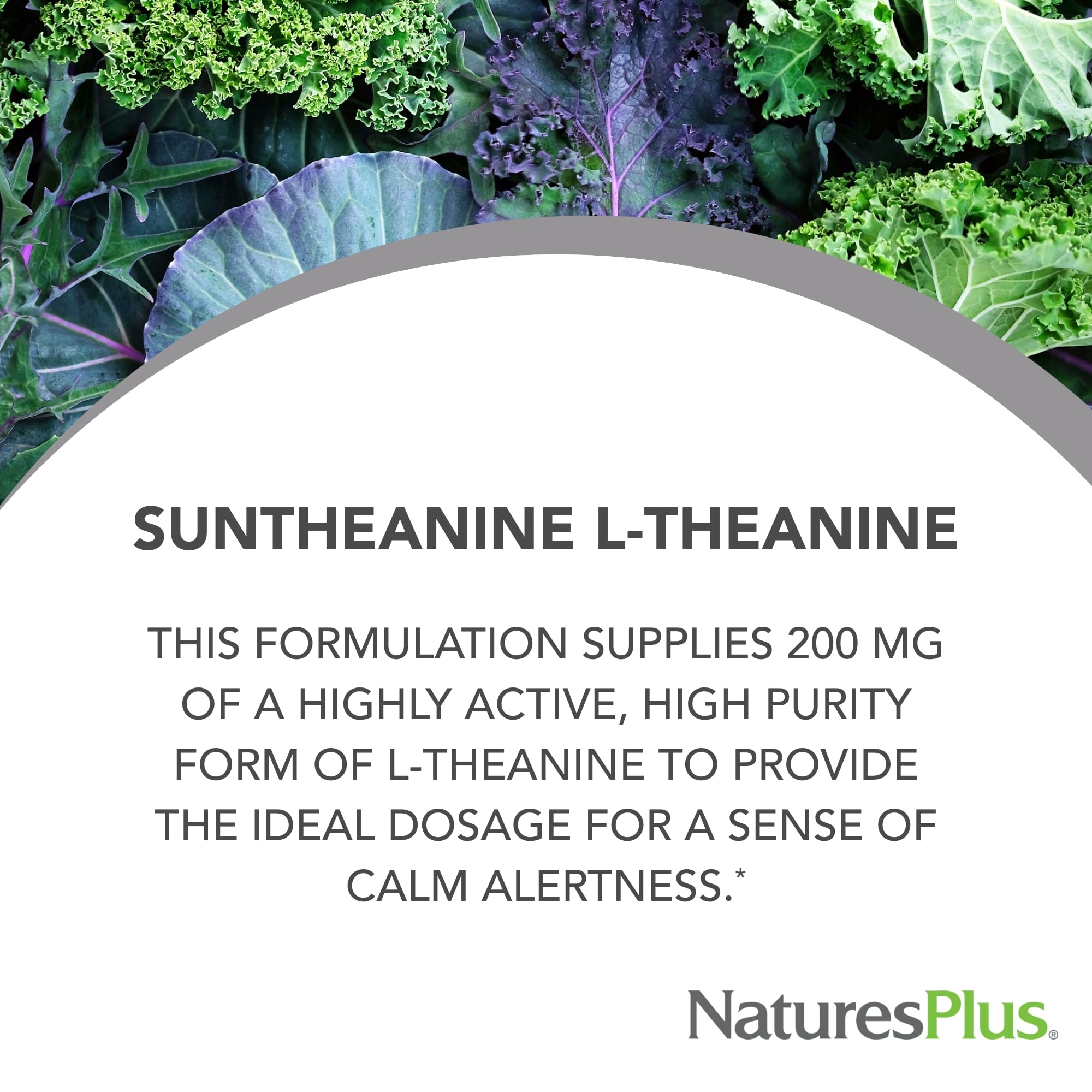 NaturesPlus PRO Suntheanine product label featuring L-Theanine