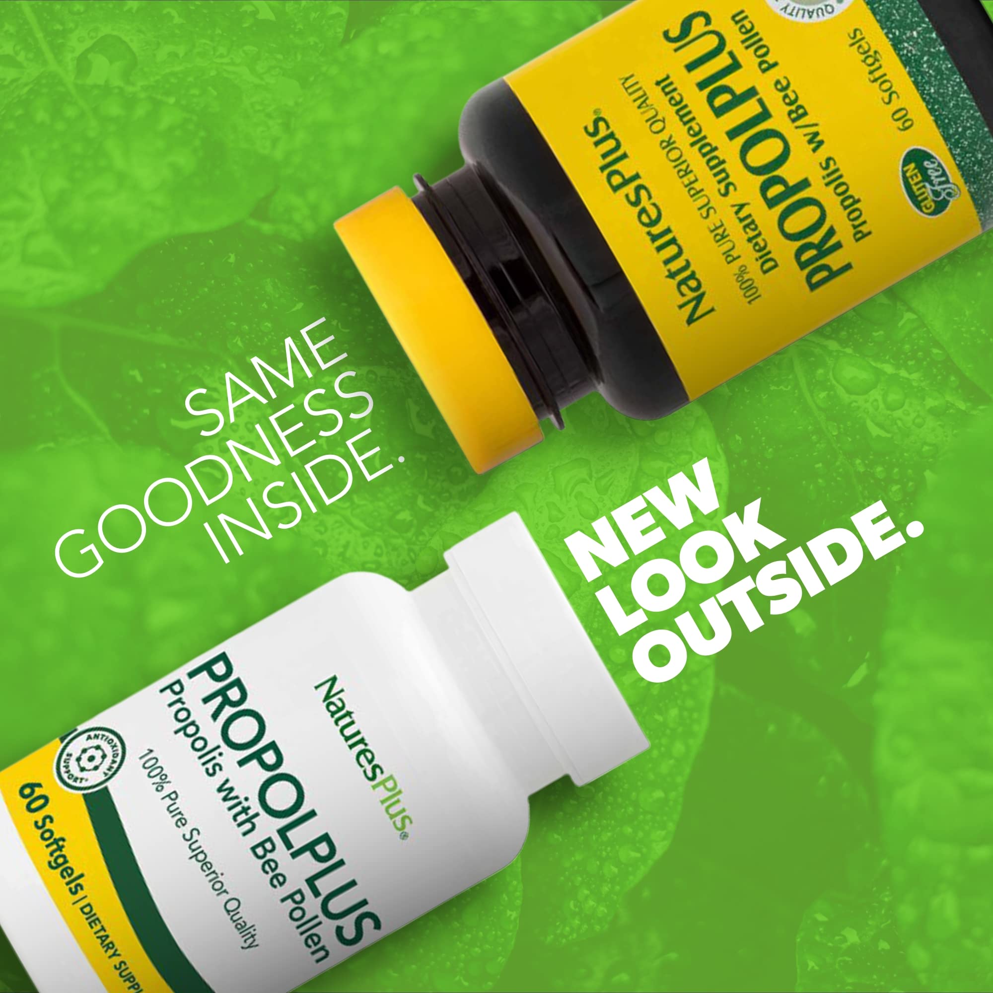 Softgel capsules and bottle display for Propolplus bee propolis with bee pollen