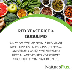 Close-up of Red Yeast Rice Gugulipid capsules
