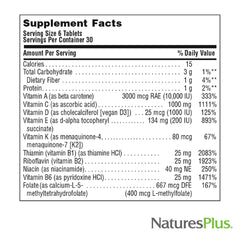 NaturesPlus Source of Life Mini-Tabs No Iron label detail communicates quality and ingredients