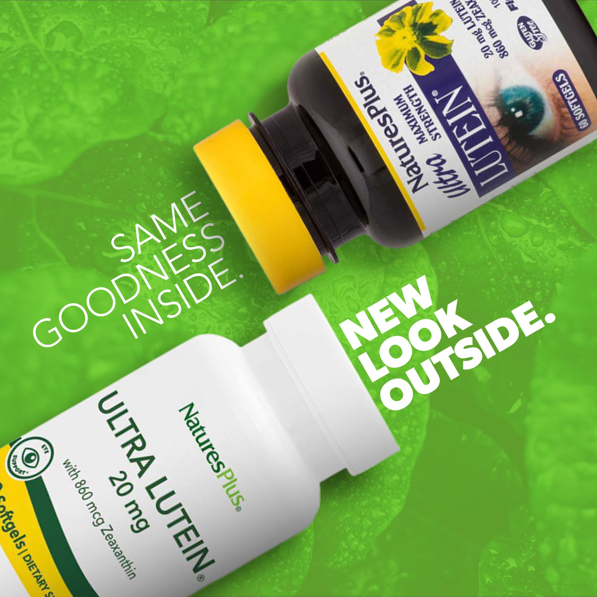Eye health graphic illustrating lutein and zeaxanthin support