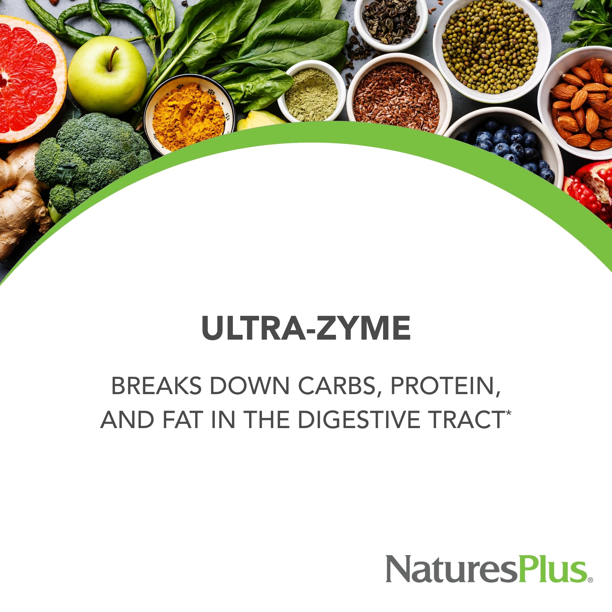 Graphic showing digestive enzyme support