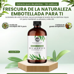 Eucalyptus oil used in a diffuser for aromatherapy
