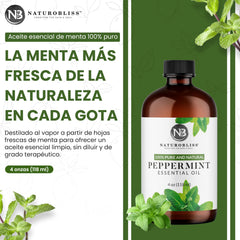 Peppermint essential oil steam-distilled for aromatherapy