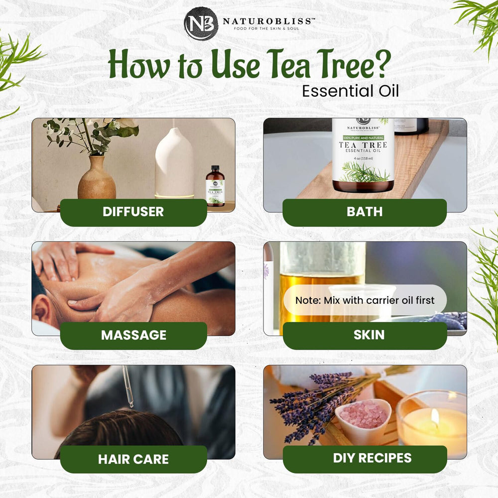 Steam-distilled Melaleuca alternifolia tea tree oil