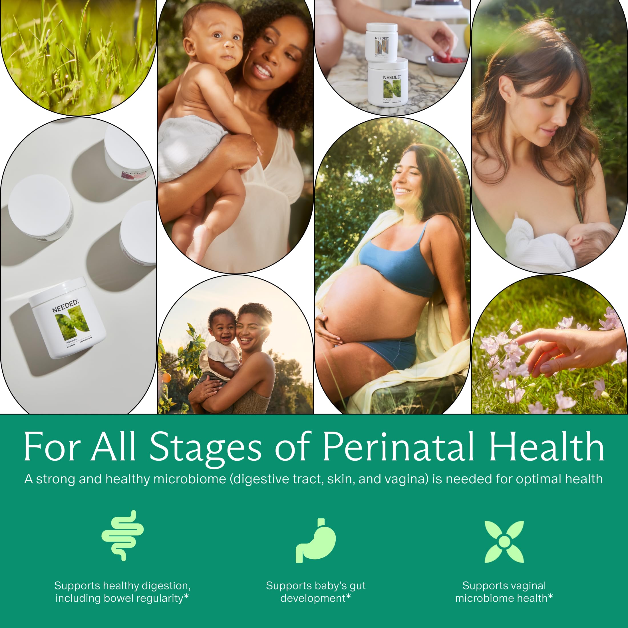 Needed Balance packaging illustration, microbiome support during pregnancy
