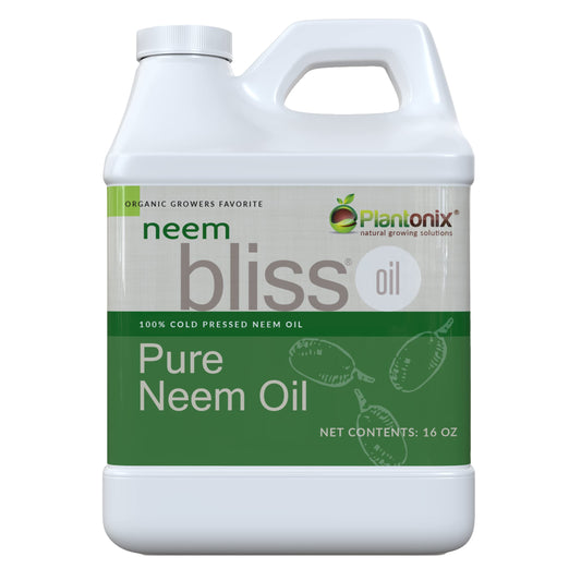 Neem Bliss 16 oz bottle with pure neem oil