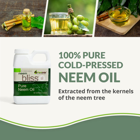 Front view of Neem Bliss 64oz bottle with label