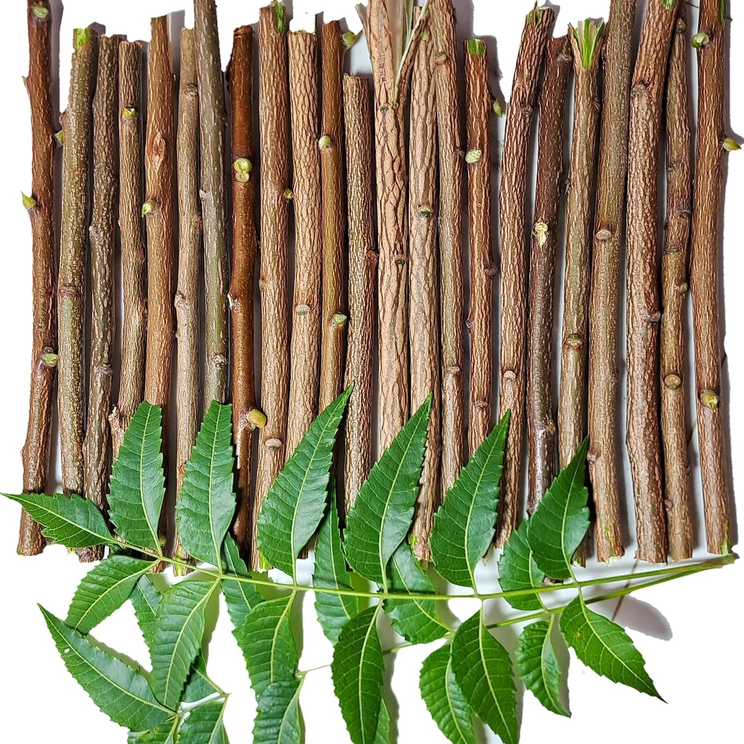 Datun Sticks Ayurvedic Neem Datun - Organic Toothbrush Twig (5-7 in) Pack of 10 ...