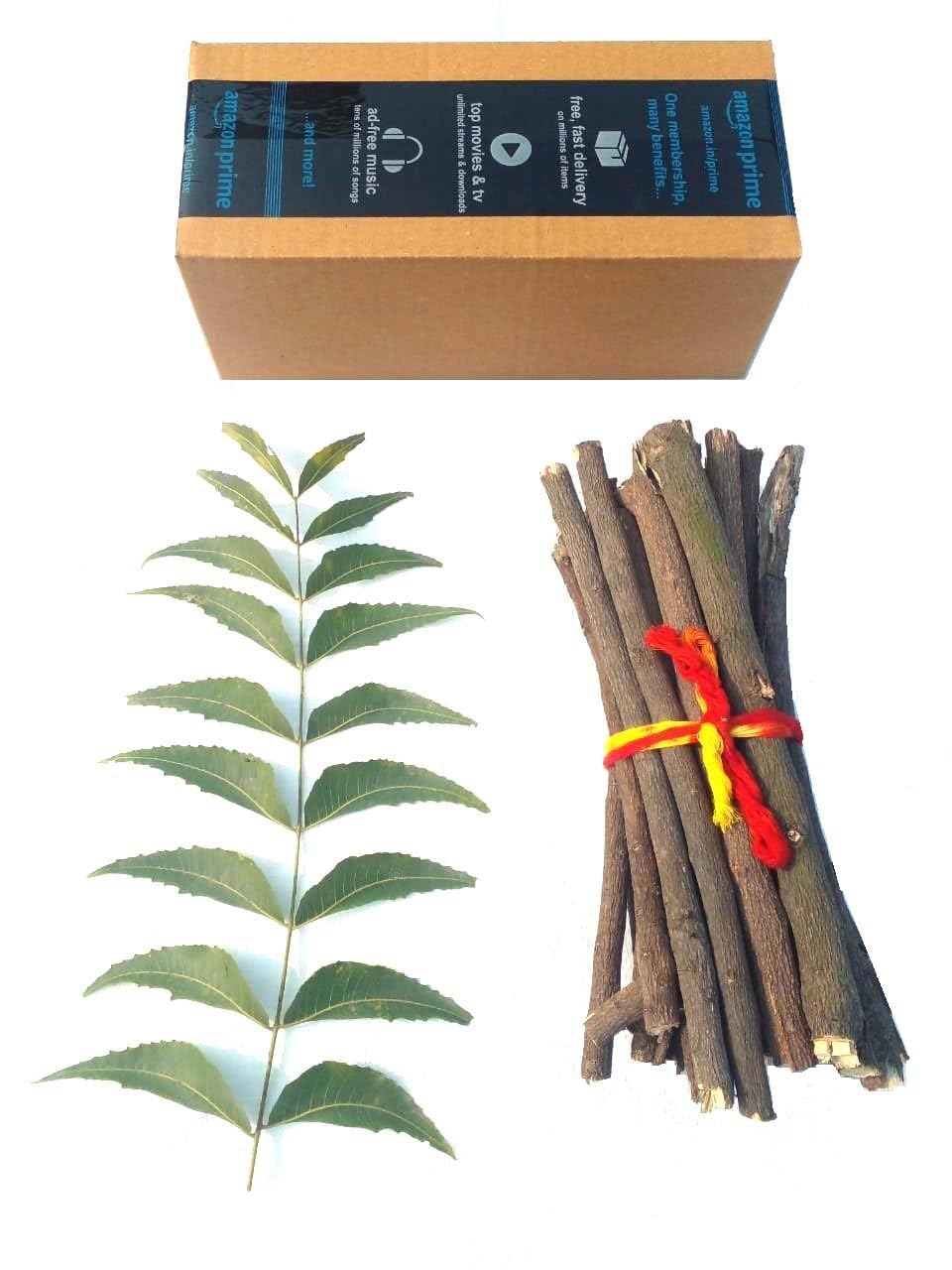 Neem Datun teeth sticks product shot