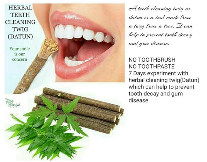 Close-up of neem twigs forming natural toothbrush bristles