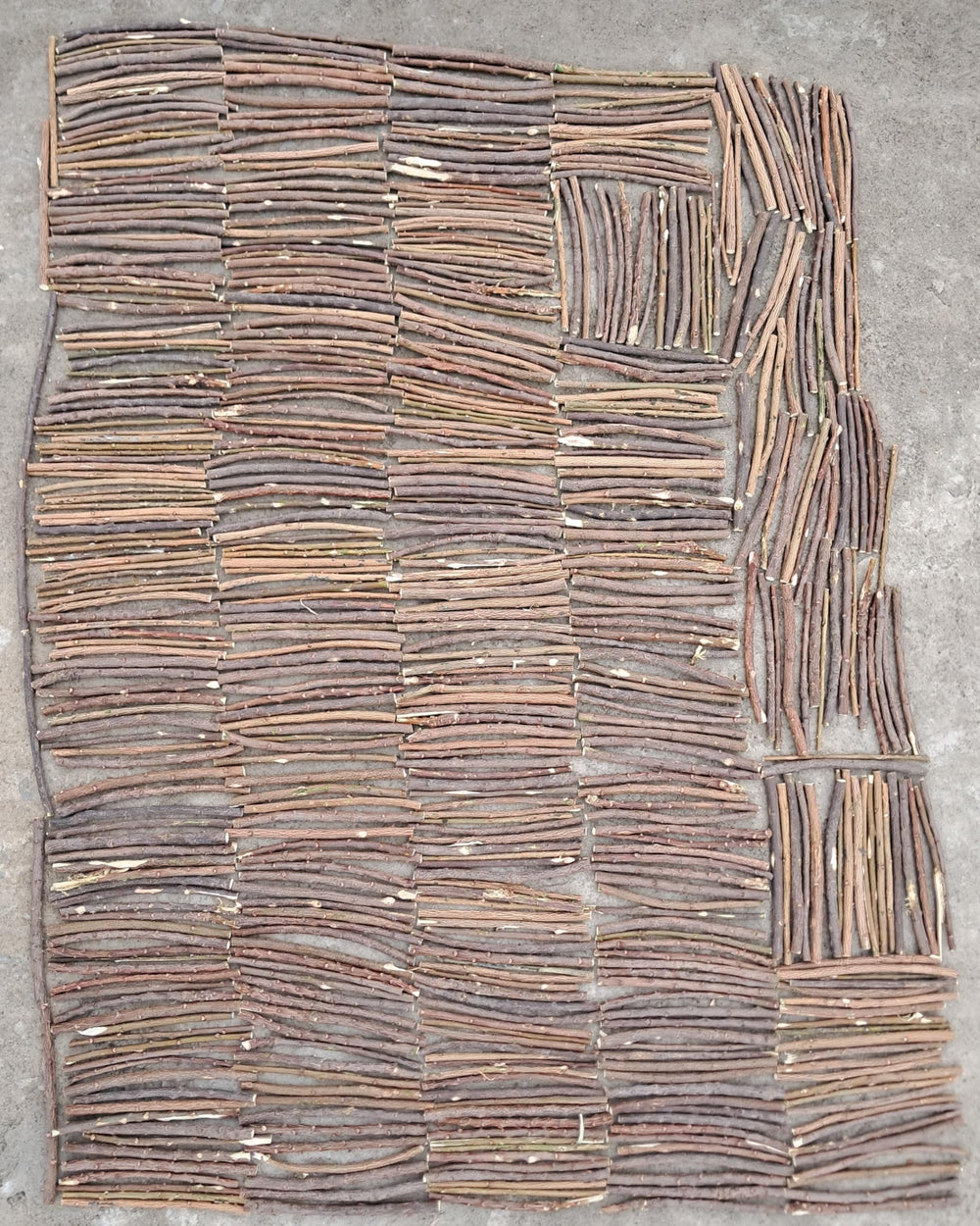 Neem Datun sticks being used for dental cleaning