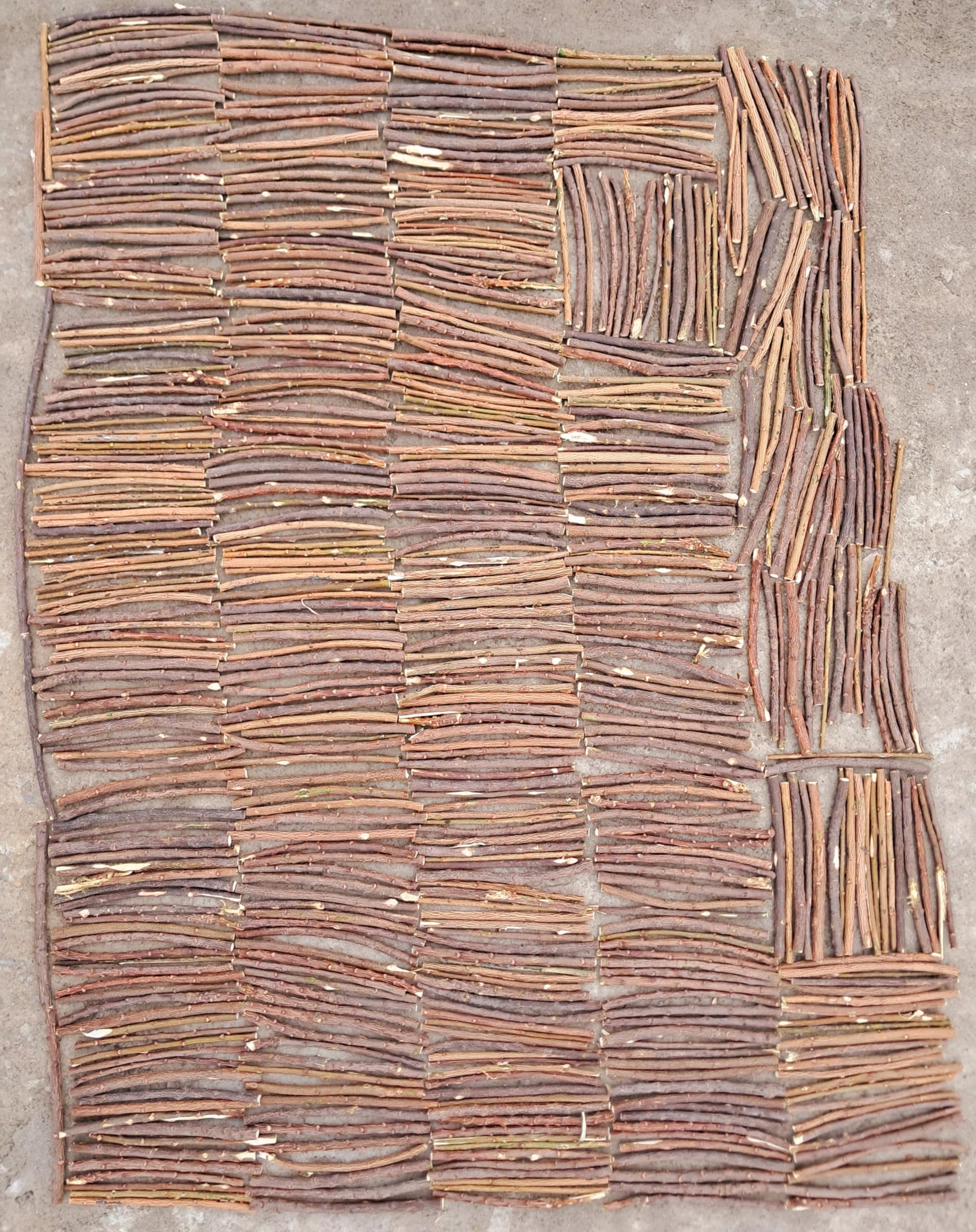 Traditional Ayurvedic dental care Neem Datun