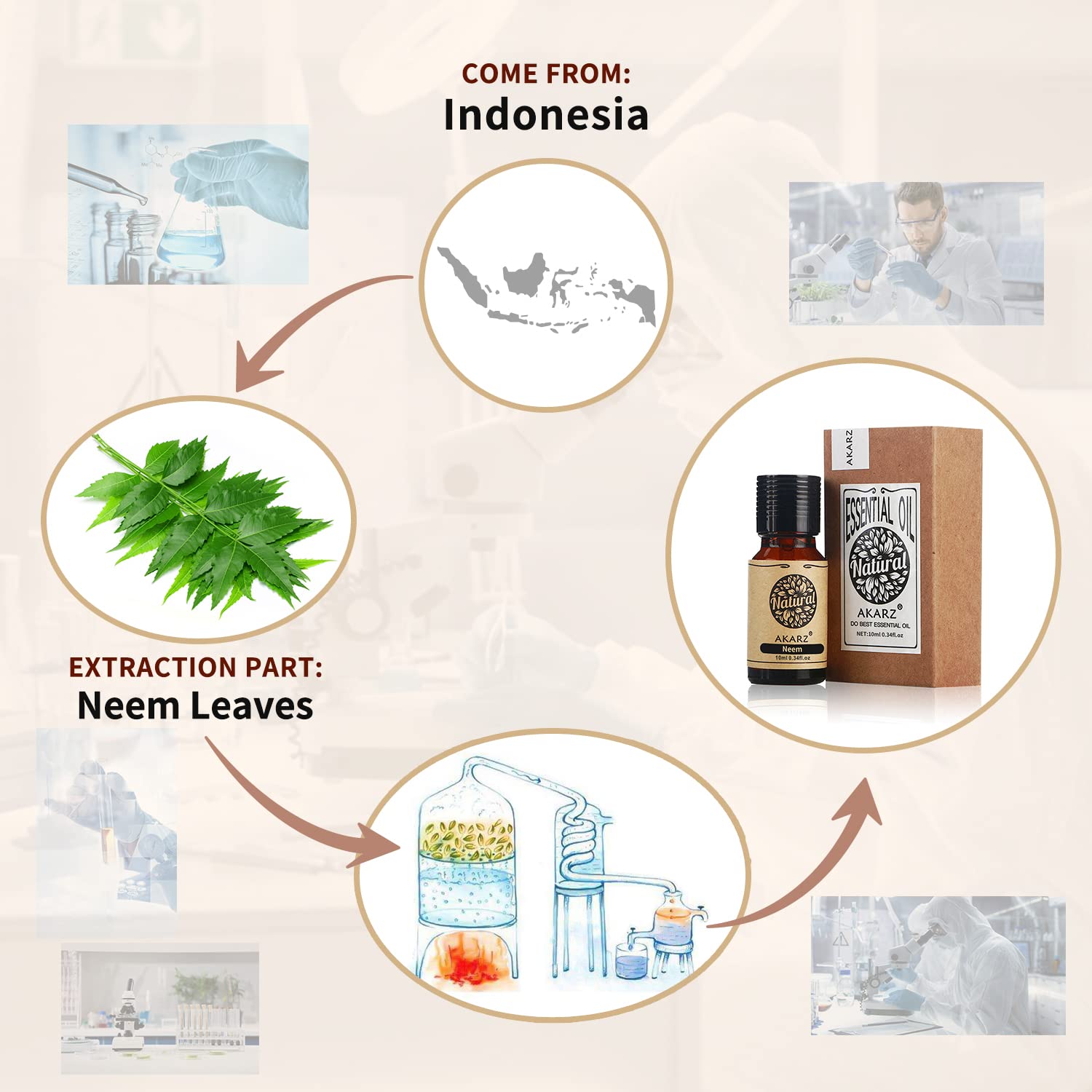 Neem leaves source Indonesia illustration accompanying AKARZ Neem Oil
