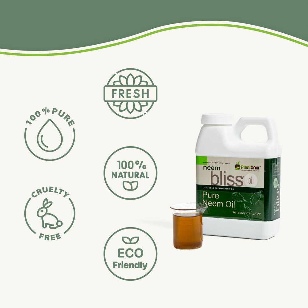 Neem oil suitable for hair and skin care