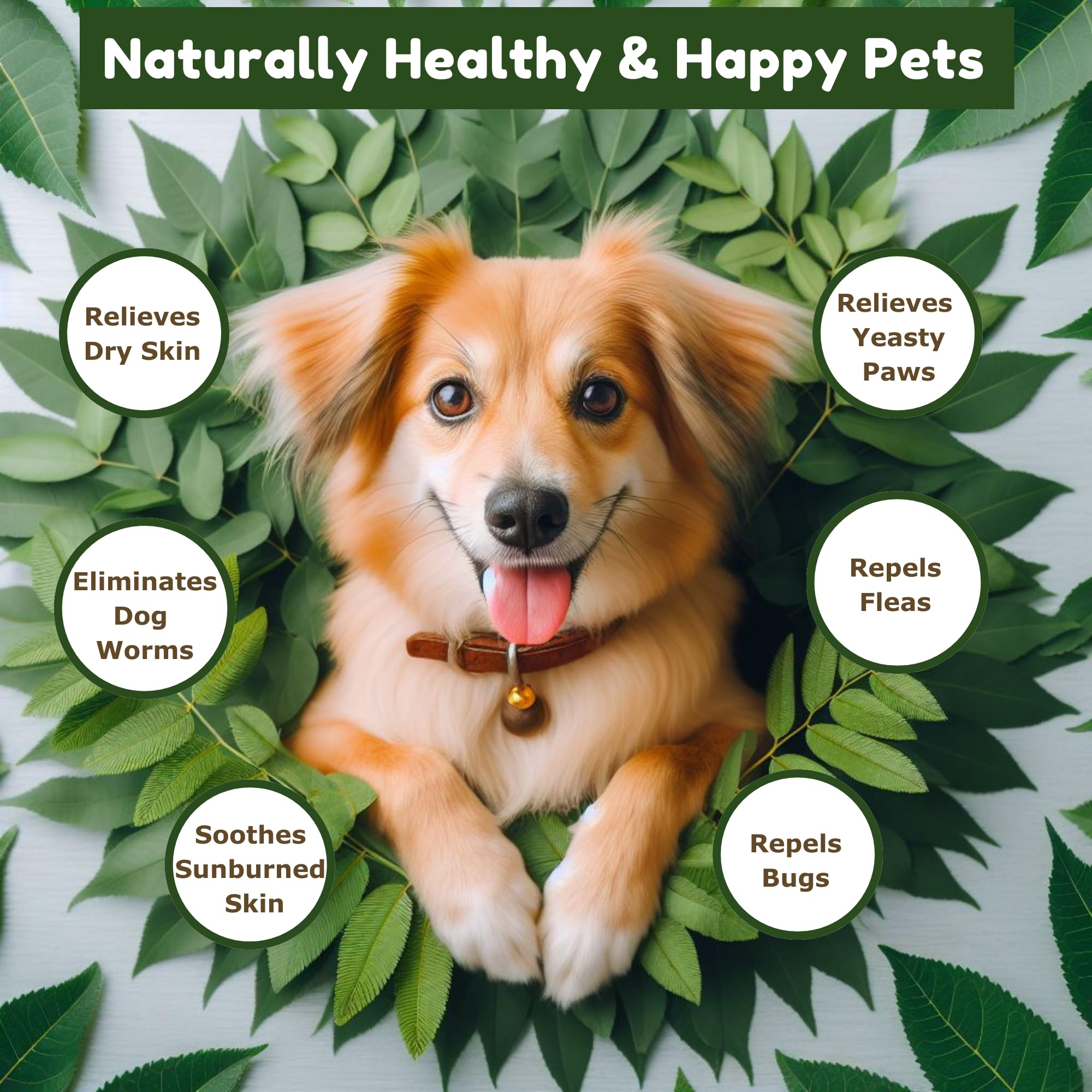 Neem oil used for pets' skin and coat care