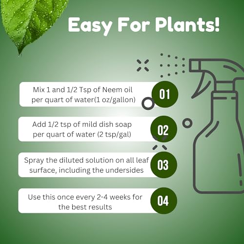 Neem oil applied to indoor and outdoor plants and garden