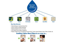 NeilMed Sinus Rinse allergen illustration demonstrates exposure to dust and pollen.