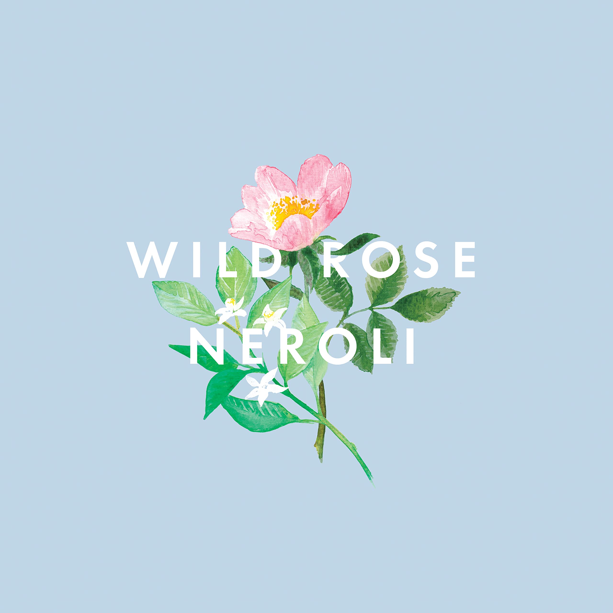 Moment of Calm luxury gift packaging