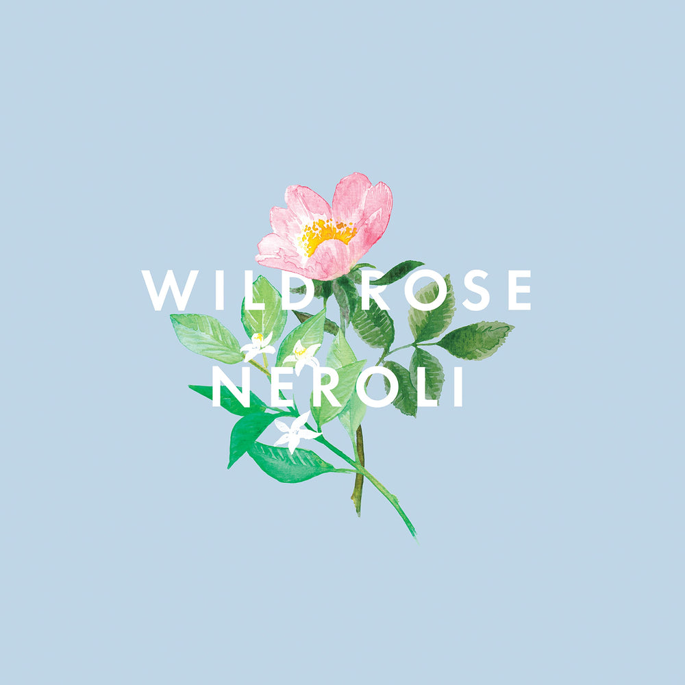 Moment of Calm luxury gift packaging