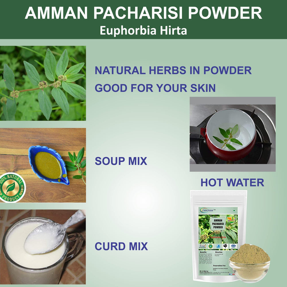 100% pure and natural Euphorbia Hirta powder