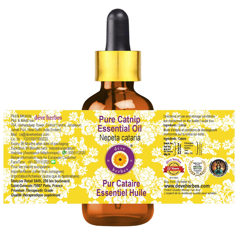 Nepeta cataria Catnip Essential Oil in amber bottle