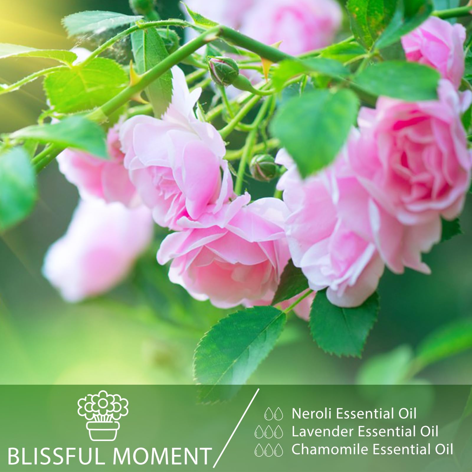 Neroli essential oil being poured from a dropper