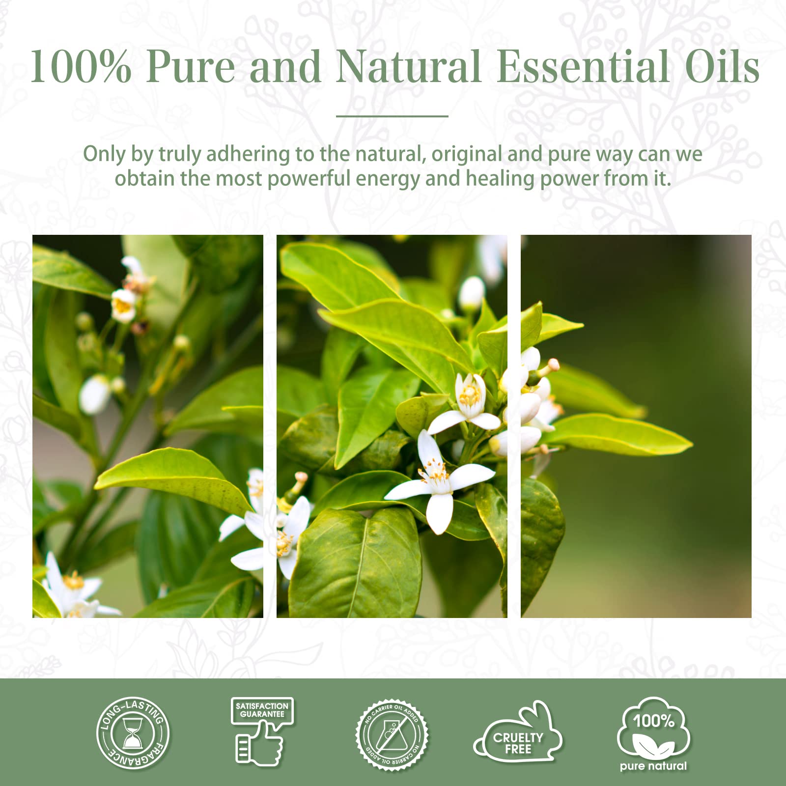Gift ready Neroli essential oil packaging box