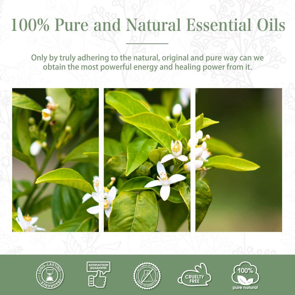 Gift ready Neroli essential oil packaging box