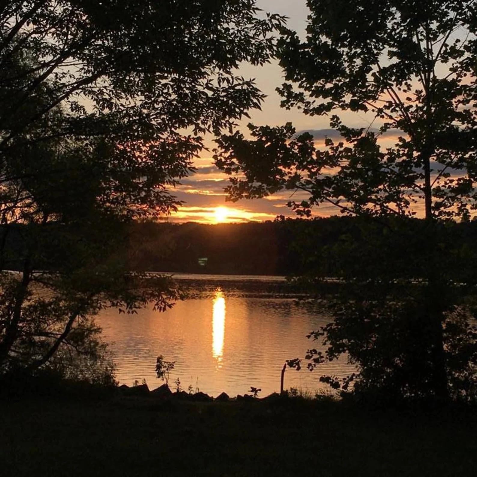 Relaxation and meditation setup with Neroli oil