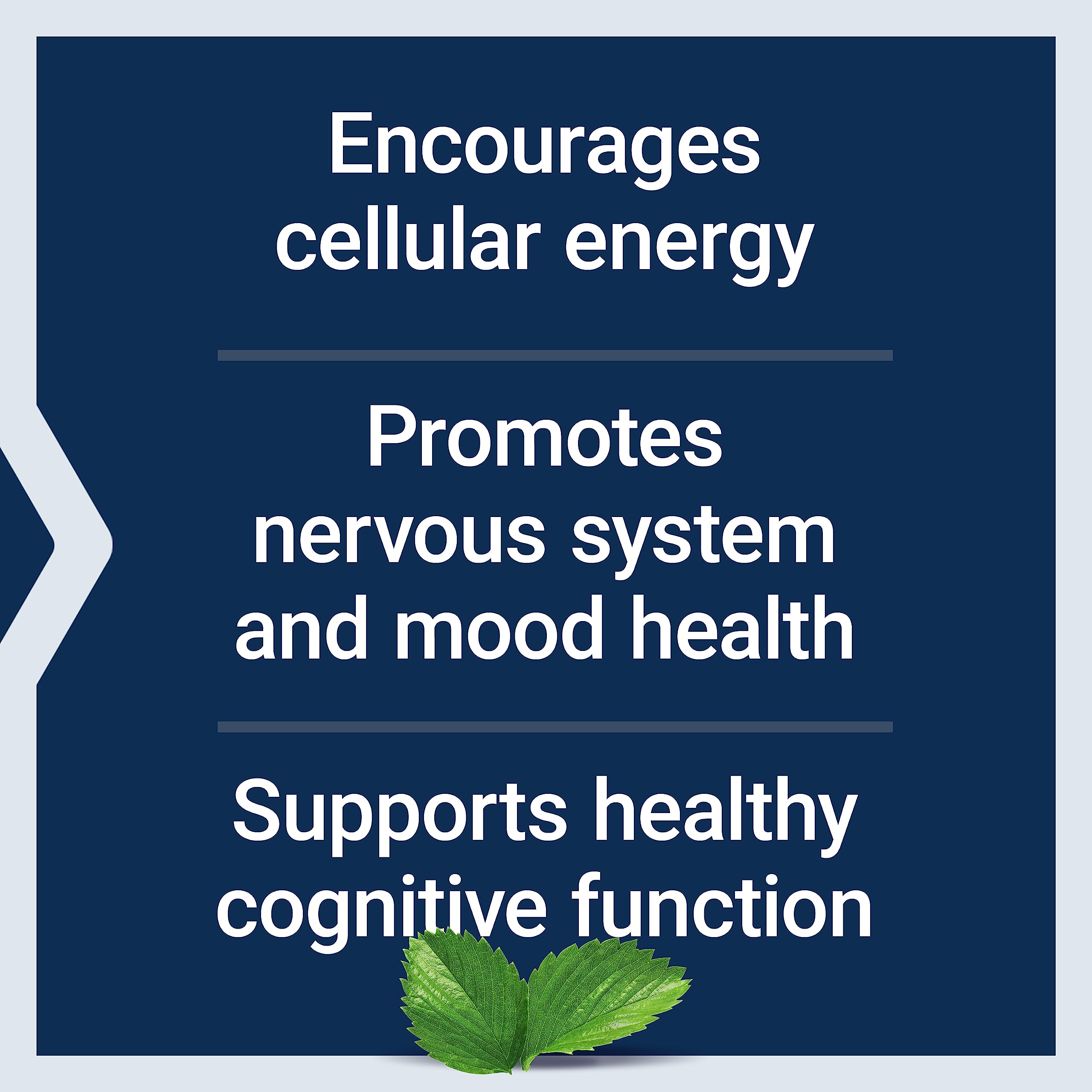 Nerve health and nervous system support illustration