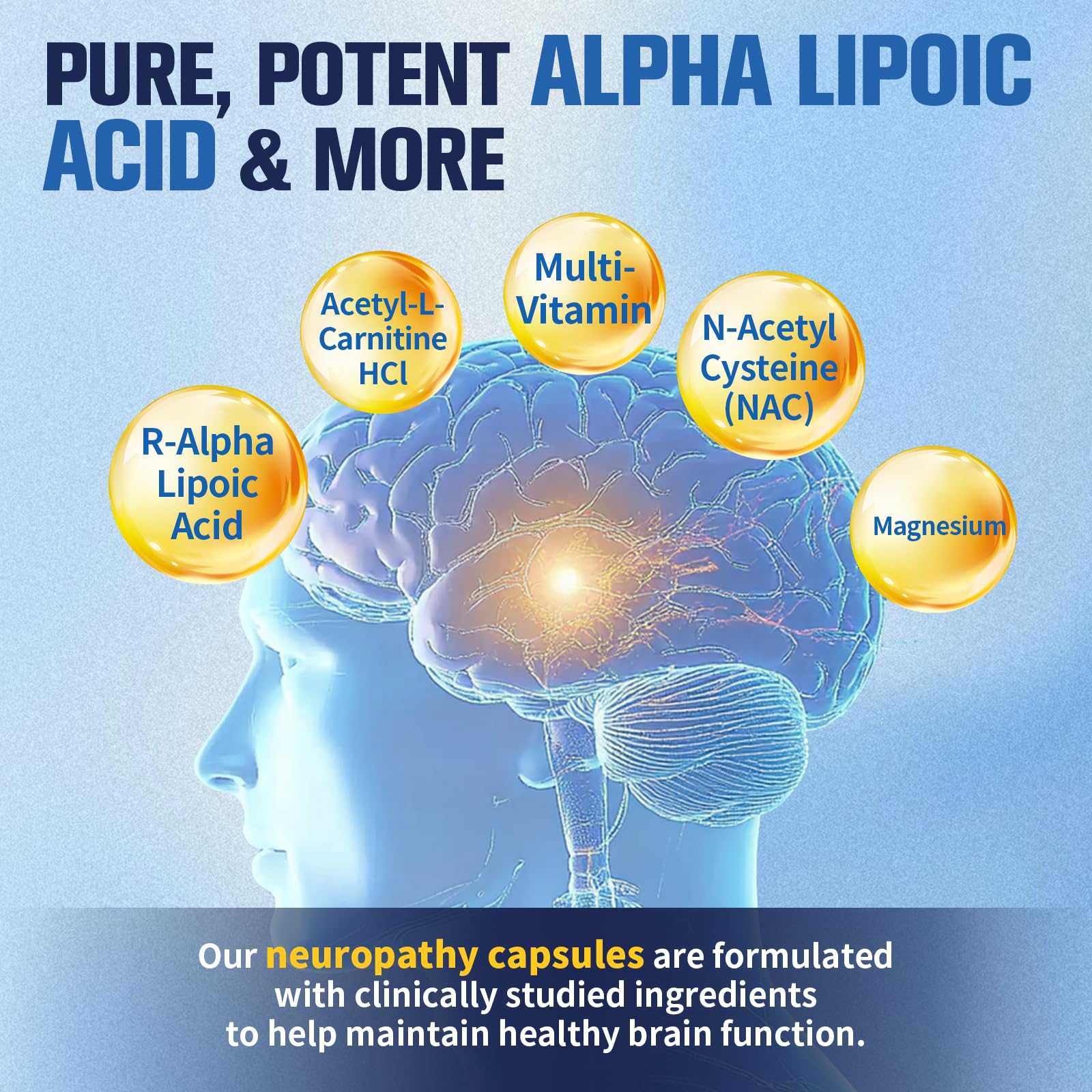Capsules and ingredients display for R-ALA, L-Carnitine and NAC