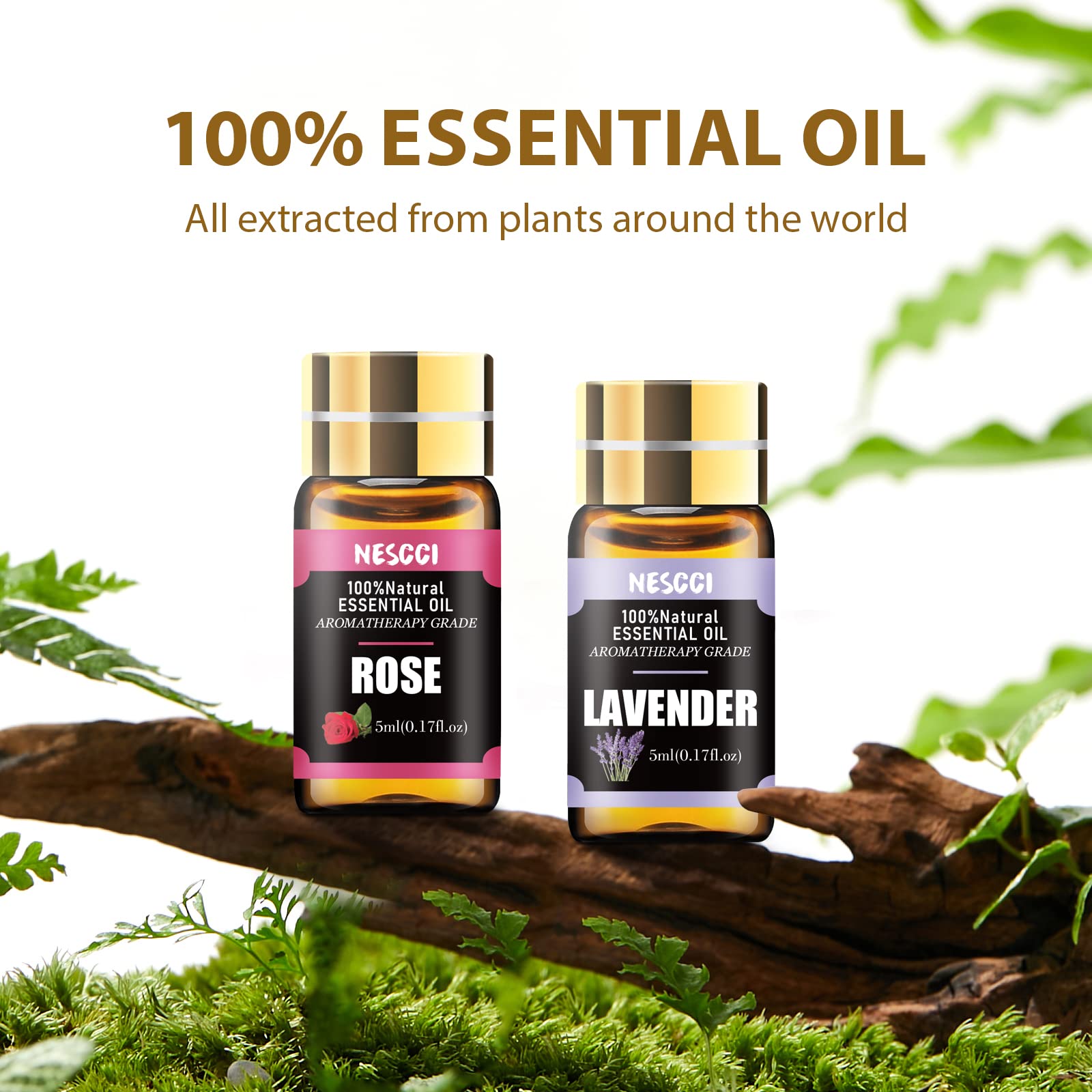 Assorted 5ml essential oil bottles from NESCCI set