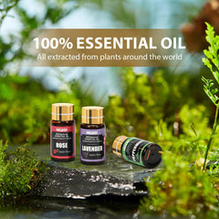 Assorted NESCCI essential oils 5ml bottles with labeled tops