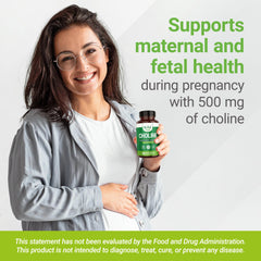 Nutrition facts panel for Nested Naturals Choline Bitartrate 500mg