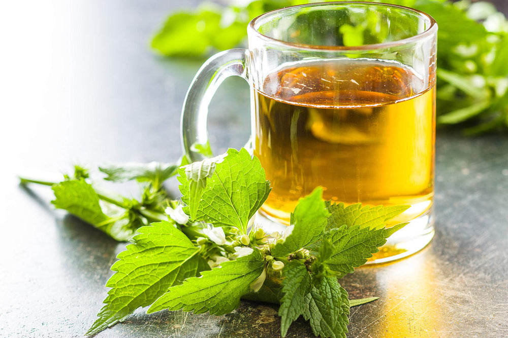 Ethical co-op harvest of nettle tea