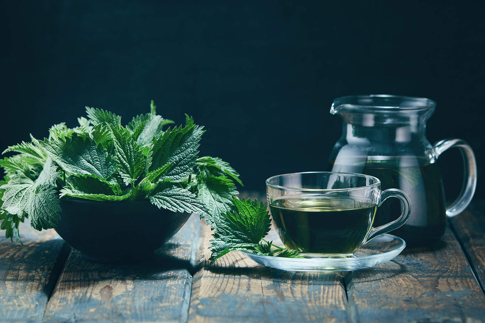 Swiss inspection and processing for nettle tea