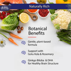 Ingredients include Ginkgo Biloba, DMAE, Gotu Kola and B Vitamins
