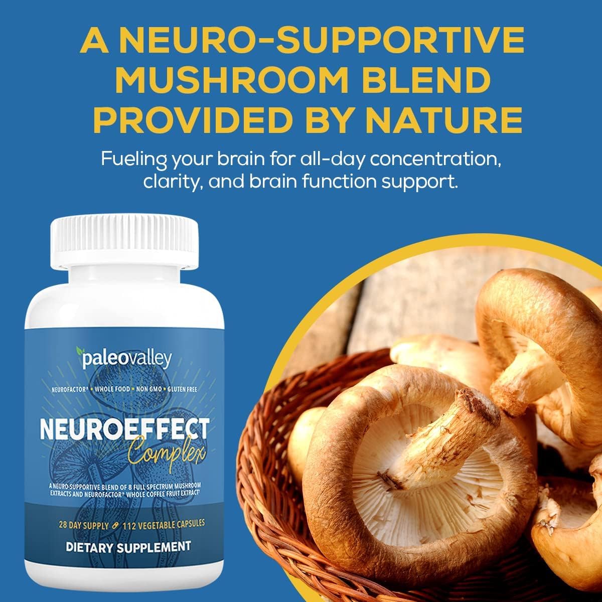 Close-up of mushroom ingredients and labeling on NeuroEffect
