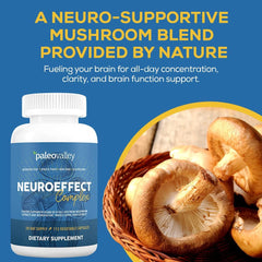 Close-up of mushroom ingredients and labeling on NeuroEffect