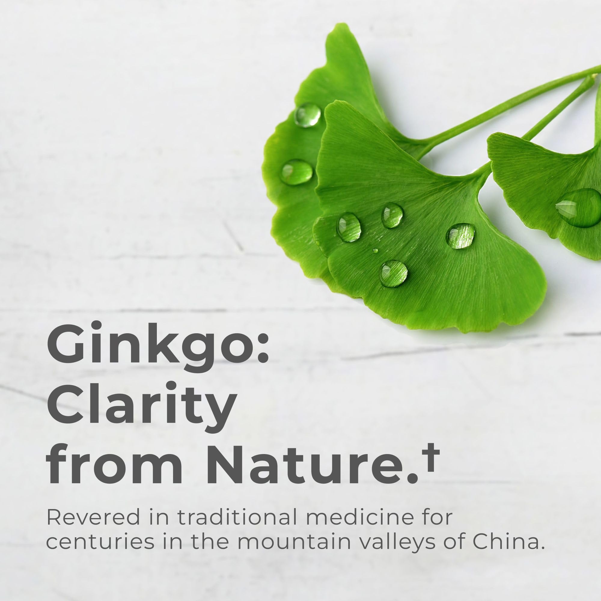 Person taking a daily ginkgo biloba capsule for brain health