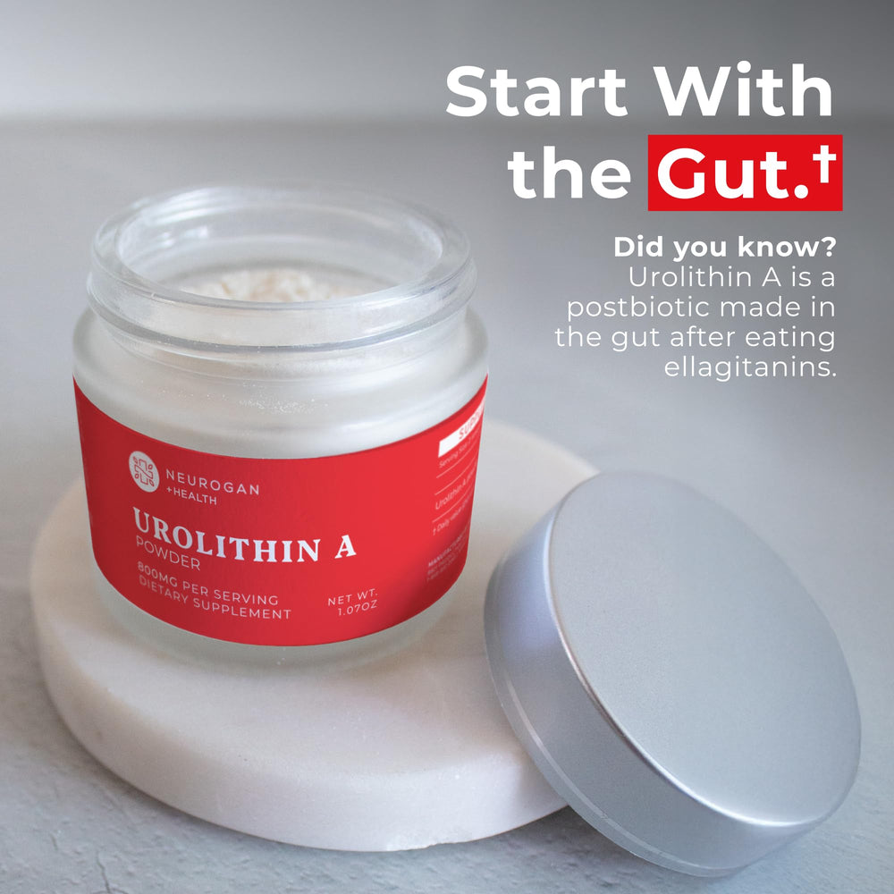 Urolithin A powder being dispensed from scoop