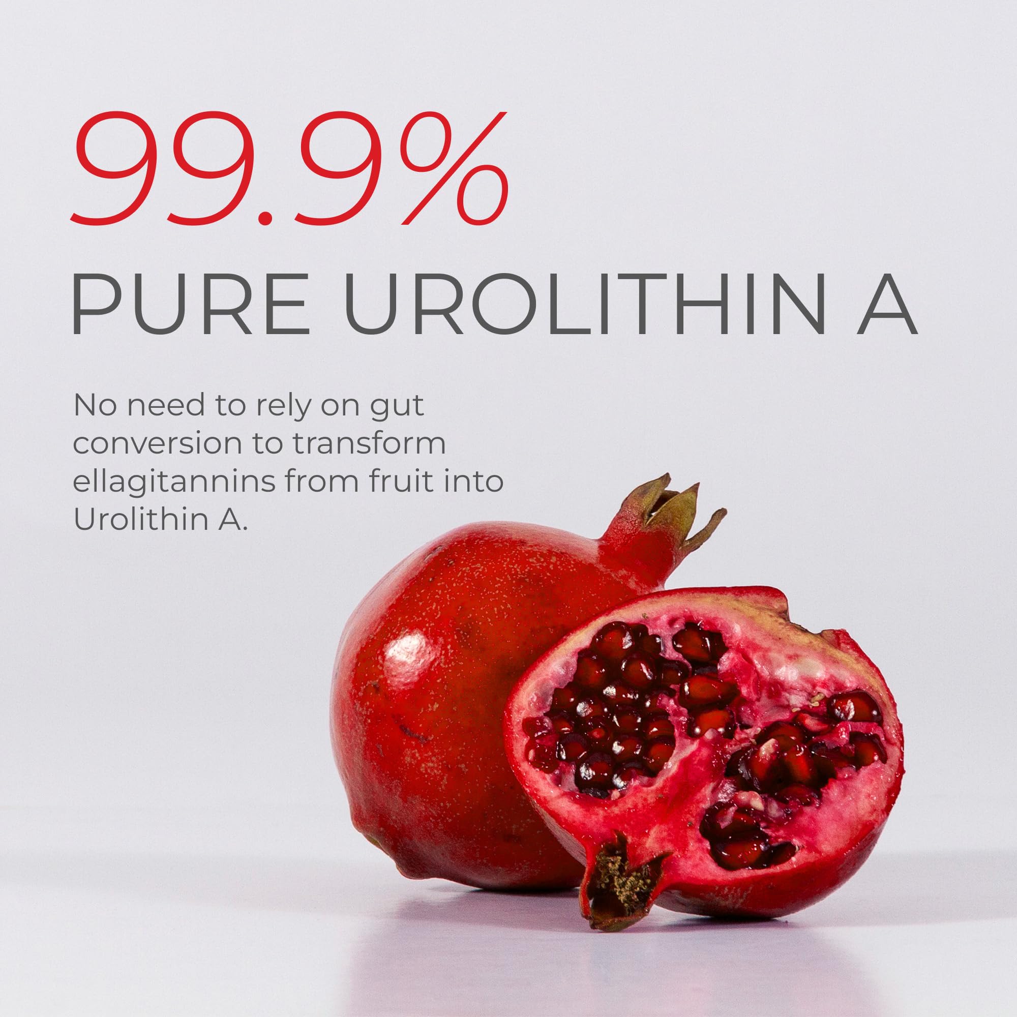 Lab purity report for Urolithin A powder